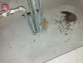 南陵卫生间测漏水价格明细